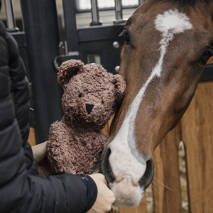 Kentucky Relax Horse toy bear 